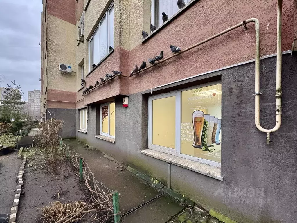 Помещение свободного назначения в Калининградская область, Калининград ... - Фото 2