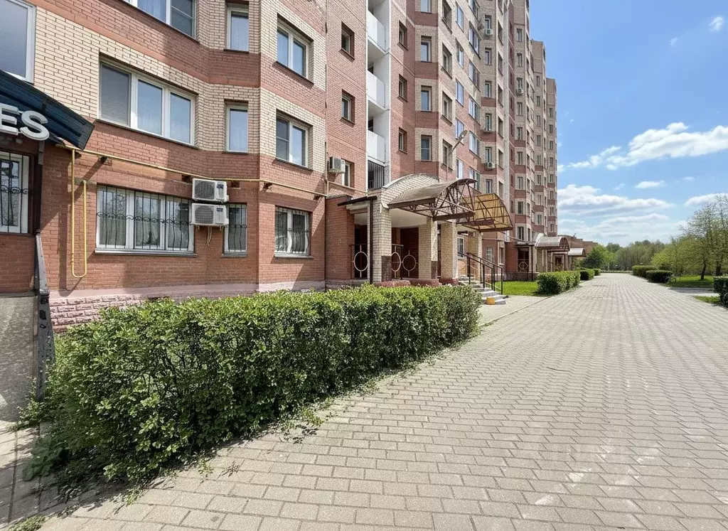 Помещение свободного назначения в Московская область, Ногинск ... - Фото 1
