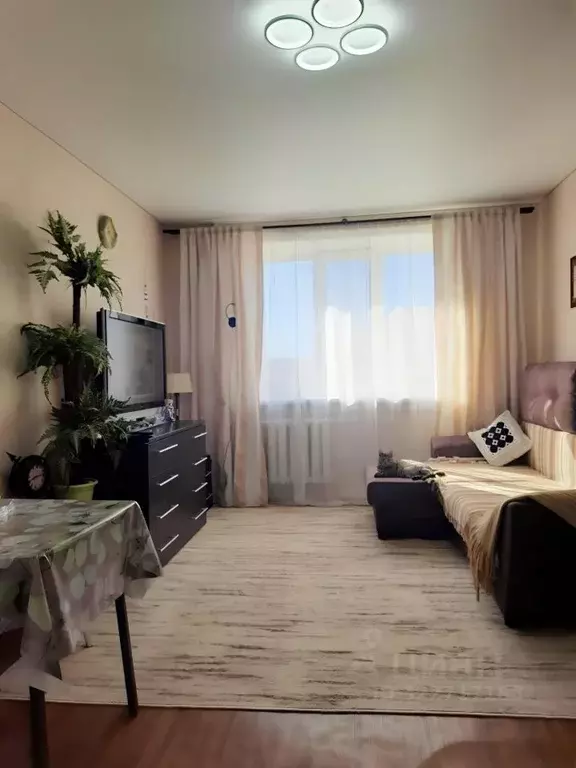 Студия Оренбургская область, Оренбург Промысловый проезд, 21 (17.0 м) - Фото 2