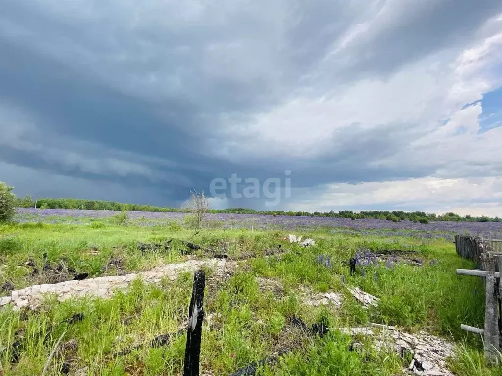 Участок в Владимирская область, Меленковский муниципальный округ, д. ... - Фото 1