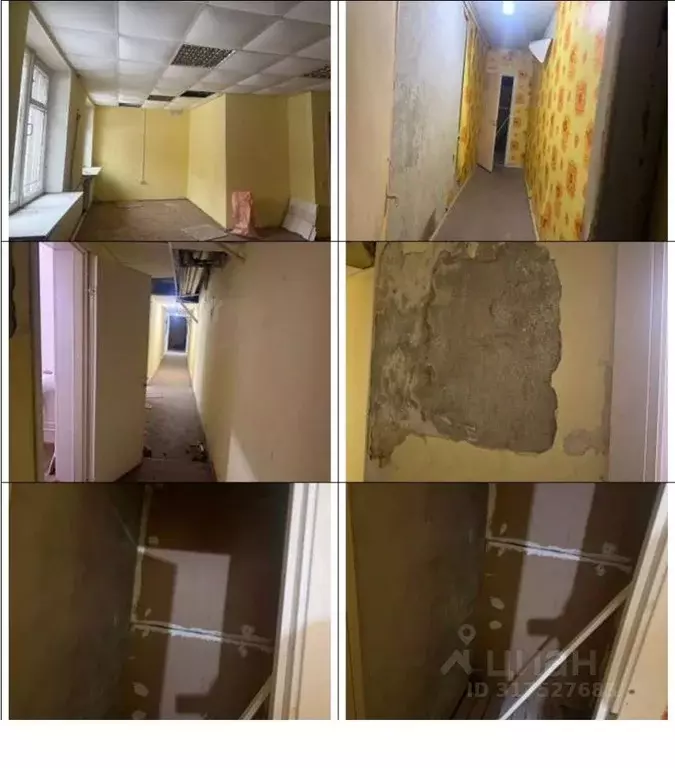 Помещение свободного назначения в Карелия, Петрозаводск ул. ... - Фото 1