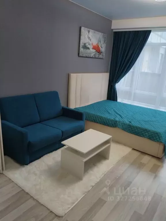 1-к кв. Краснодарский край, Сочи городской округ, с. Веселое ул. Мира, ... - Фото 2