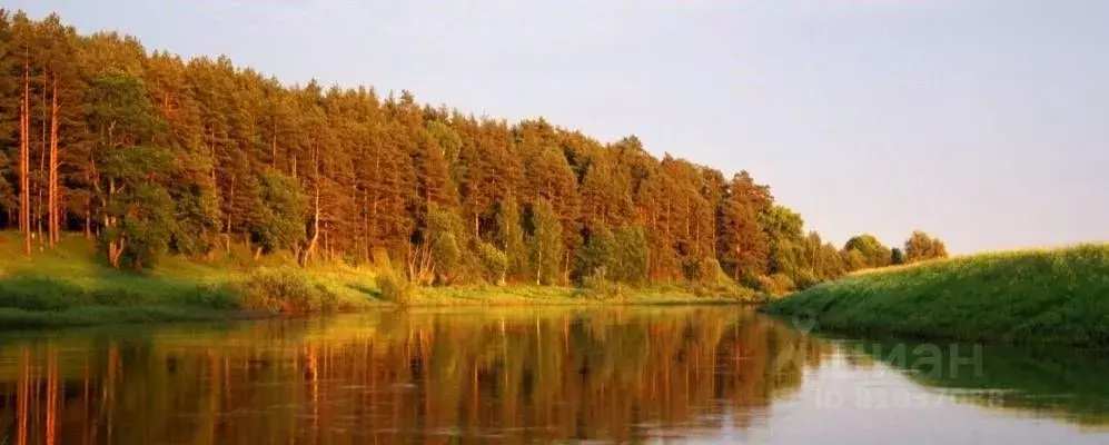 Участок в Ивановская область, Тейковский район, Нерльское городское ... - Фото 1