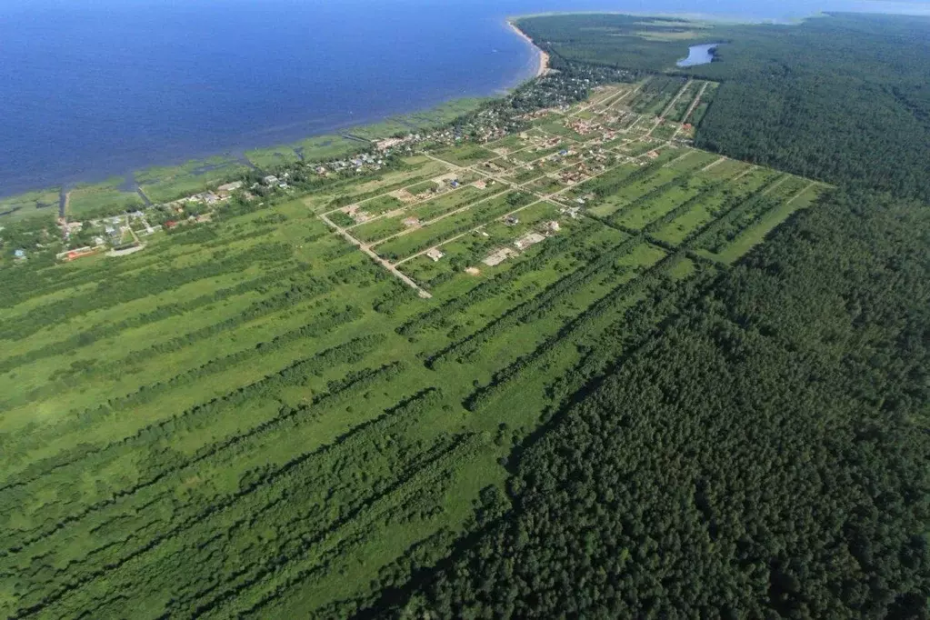 Участок в Ленинградская область, Всеволожский район, Рахьинское ... - Фото 1