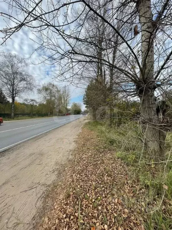 Участок в Тверская область, Тверь д. Большие Перемерки, 61А (19.0 ... - Фото 2