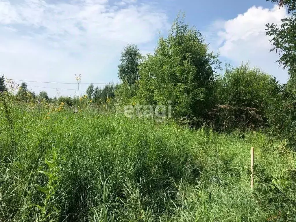 Участок в Амурская область, Благовещенский район, с. Чигири ул. ... - Фото 1