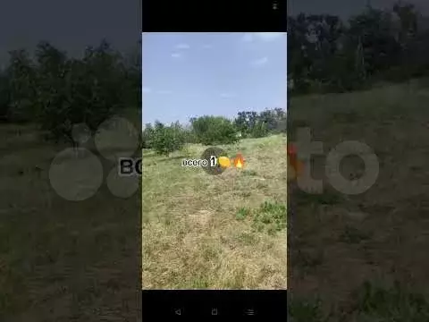 Участок 7,5 сот. (ИЖС) - Фото 1