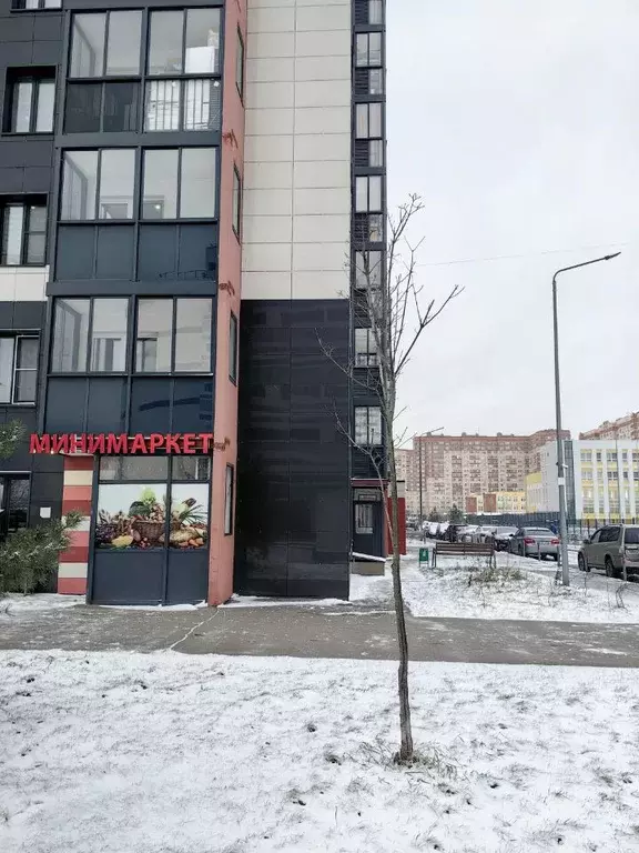 Помещение свободного назначения в Московская область, Щелково Финский ... - Фото 2