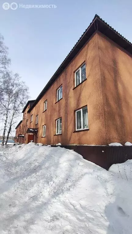 Квартира-студия: село Топки, Новая улица, 4Б (17.6 м) - Фото 1