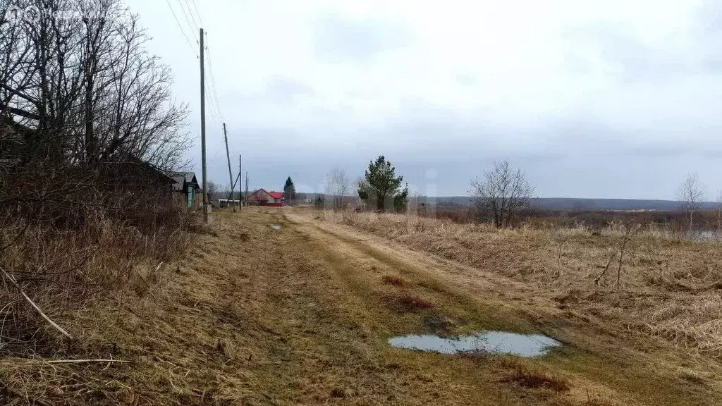 Участок в Усть-Ницинское сельское поселение, деревня Калугина, улица ... - Фото 2