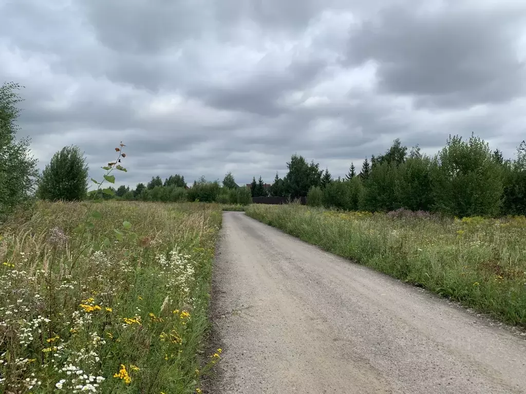 Участок в Московская область, Раменский городской округ, с. Верхнее ... - Фото 1