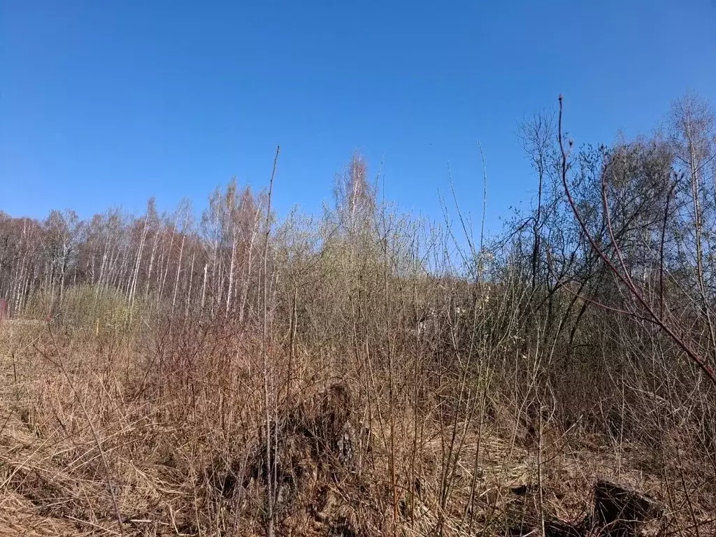 Участок в Владимирская область, Судогодский район, Головинское ... - Фото 0