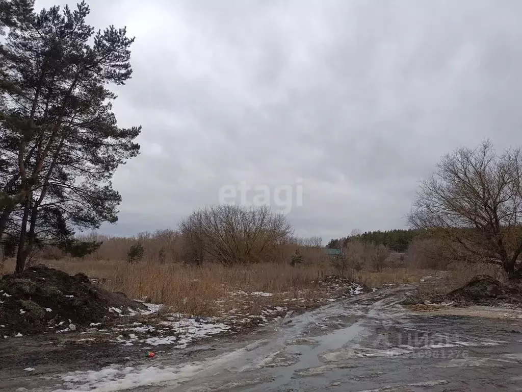Участок в Курская область, Курский район, Моковский сельсовет, д. ... - Фото 0