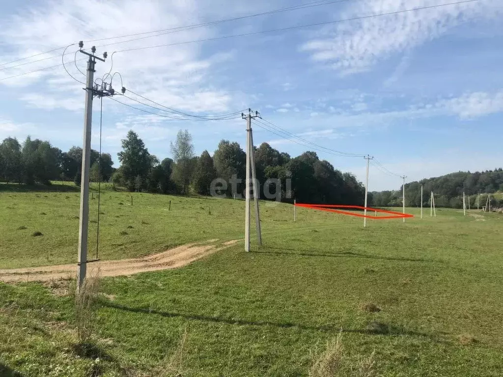 Участок в Калужская область, Боровский муниципальный округ, ... - Фото 2