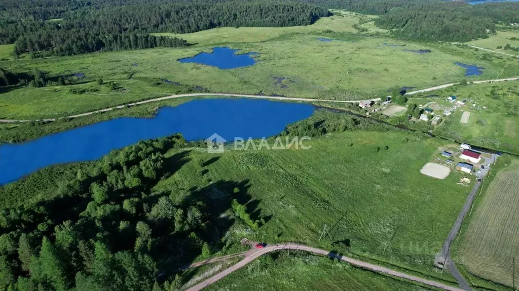 Участки Земли В Карелии Купить