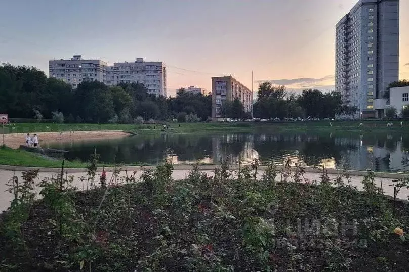 1-к кв. Москва проезд Серебрякова, 11к2 (29.0 м) - Фото 2