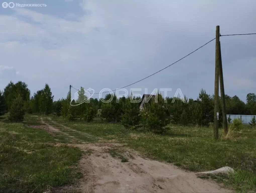 Участок в село Нижняя Тавда, Берёзовая улица, 11 (10 м) - Фото 2