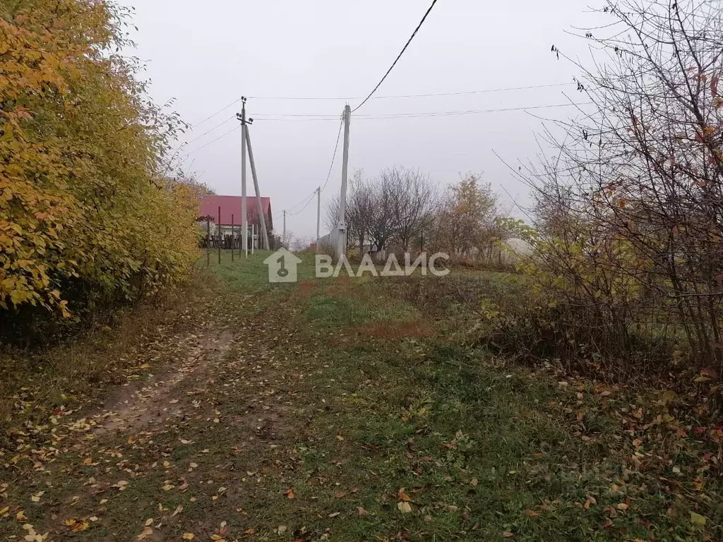 Участок в Владимирская область, Суздальский район, с. Новоалександрово ... - Фото 1