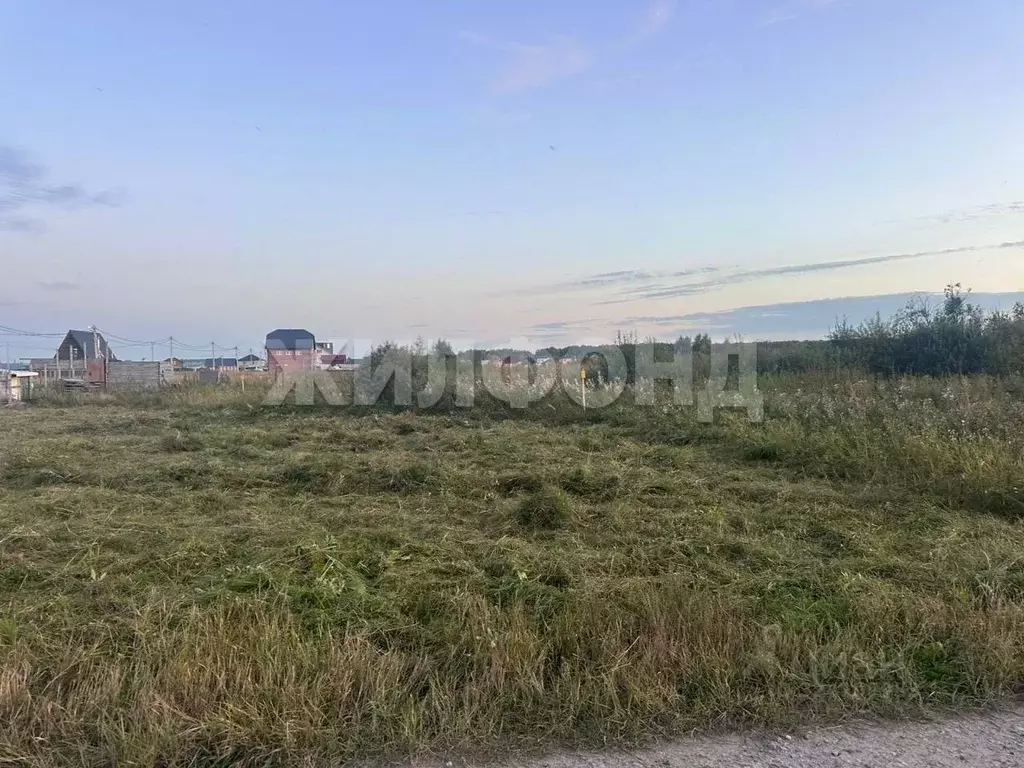 Участок в Новосибирская область, Новосибирский район, Криводановский ... - Фото 2