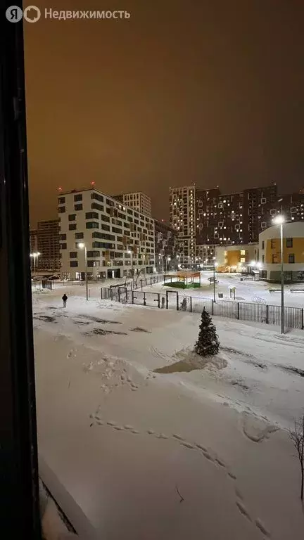 Квартира-студия: деревня Новосаратовка, улица Первых, 4к1 (27.4 м) - Фото 2