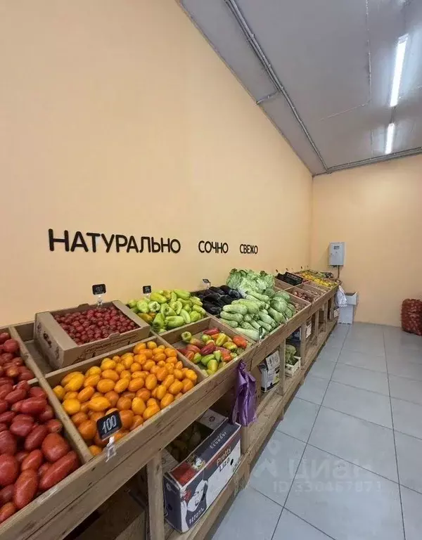 Помещение свободного назначения в Краснодарский край, Краснодар ... - Фото 1