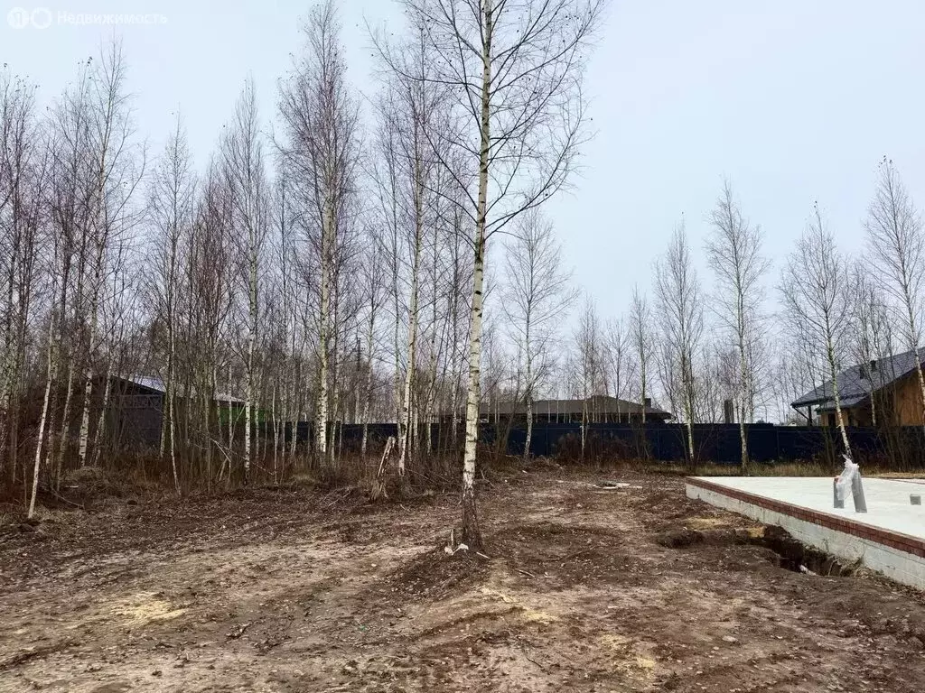 Участок в Тульская область, городской округ Тула, деревня Харино (7 м) - Фото 2