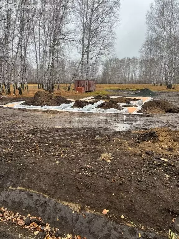 Участок в Новосибирский район, Верх-Тулинский сельсовет, ... - Фото 1