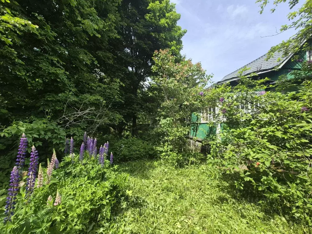 Участок в Московская область, Наро-Фоминский городской округ, СНТ ... - Фото 1