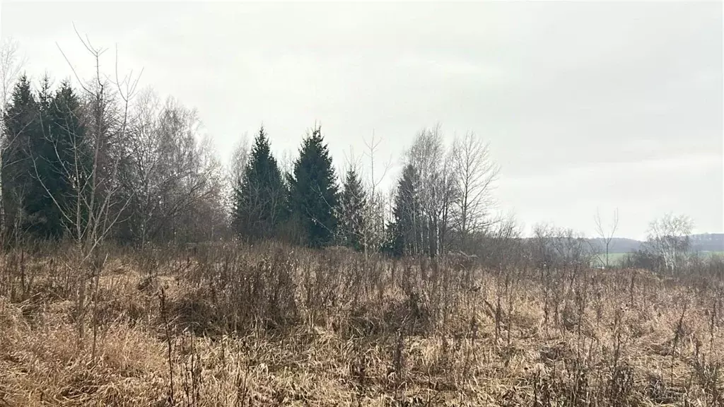 Участок в Московская область, Ступино городской округ, д. Ловцово ул. ... - Фото 1