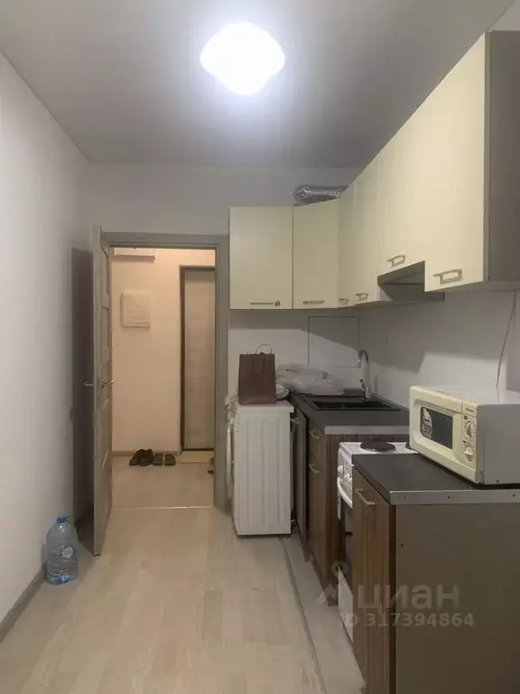 1-к кв. Московская область, Подольск городской округ, д. Борисовка ул. ... - Фото 1