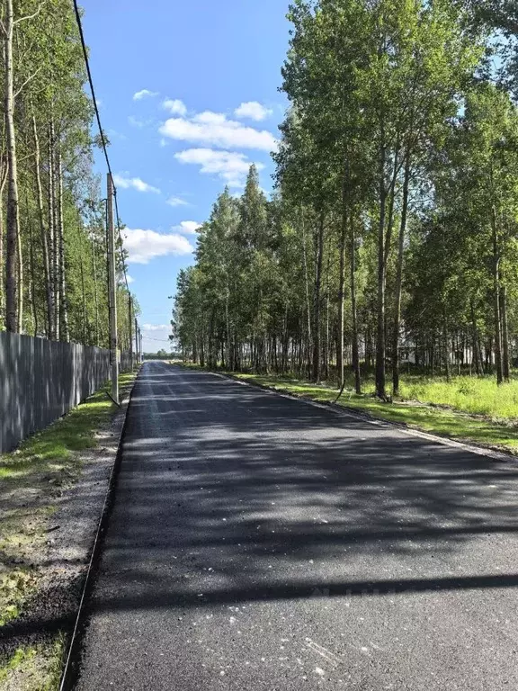Участок в Санкт-Петербург, Санкт-Петербург, Павловск Павловское-2 СНТ, ... - Фото 1