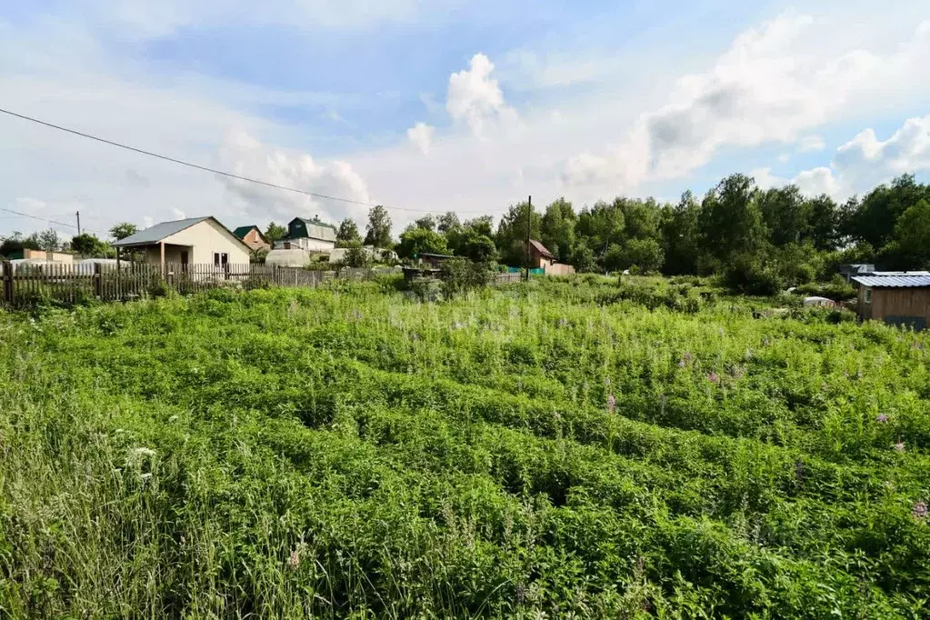 Участок в Томская область, Томск Микрон садовое товарищество, ул. 14-я ... - Фото 1