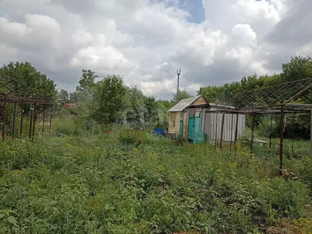 Участок 9,9 сот. (СНТ, ДНП) - Фото 0