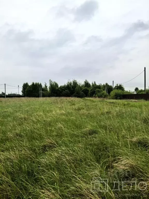 Участок в Рязанская область, Рязанский район, Дубровическое с/пос, с. ... - Фото 2