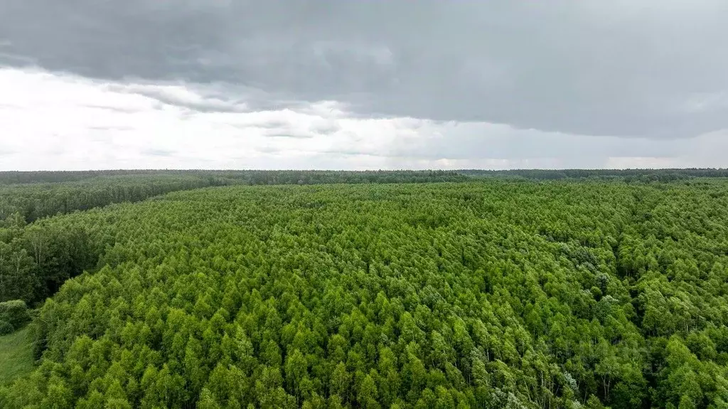 Помещение свободного назначения в Московская область, Можайский ... - Фото 1