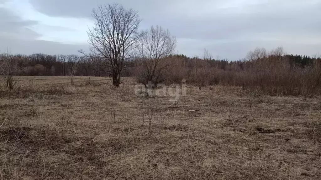Участок в Башкортостан, Уфимский район, Чесноковский сельсовет, д. ... - Фото 1