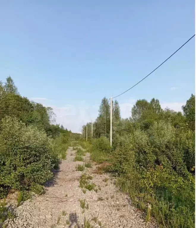 Участок в Вологодская область, Череповецкий район, Ирдоматское с/пос  ... - Фото 1