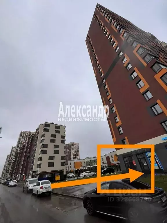 Торговая площадь в Ленинградская область, Всеволожский район, ... - Фото 2