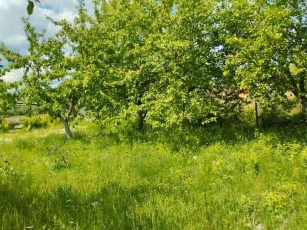 Участок в Московская область, Коломна городской округ, д. Зарудня ул. ... - Фото 2