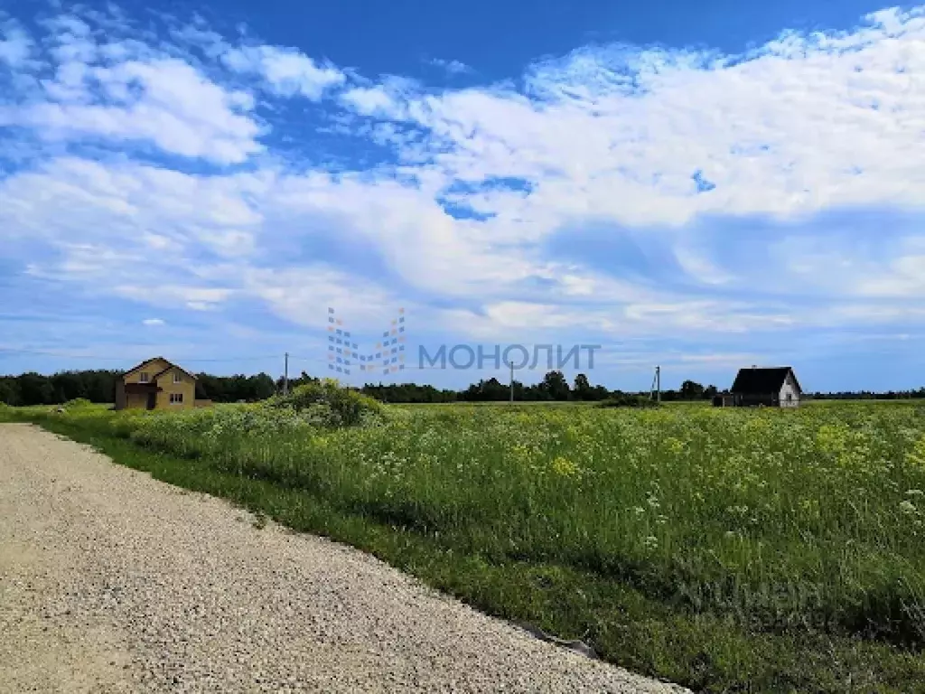 Участок в Нижегородская область, Богородский муниципальный округ, д. ... - Фото 1