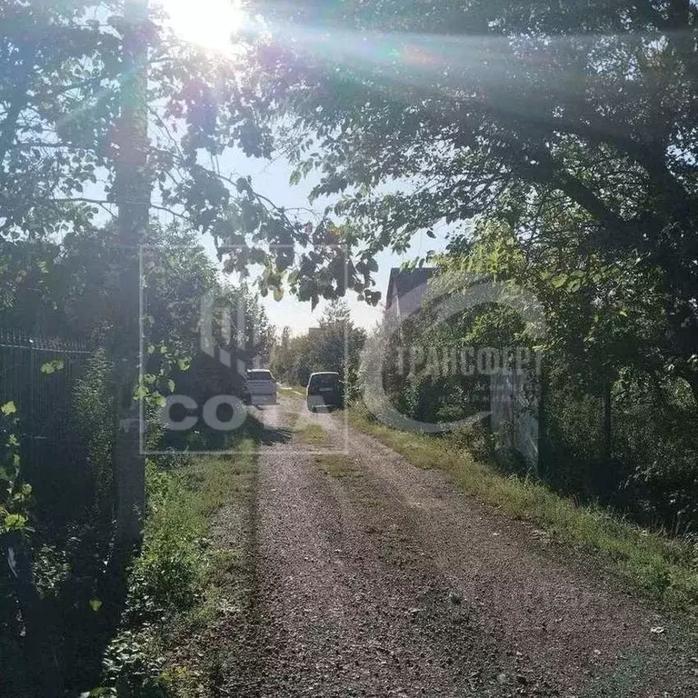 Участок в Воронежская область, Воронеж Отдых СНТ, ул. 23-я (5.12 сот.) - Фото 2