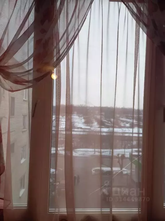 Комната Тамбовская область, Тамбов ул. Новикова-Прибоя, 51к2 (13.0 м) - Фото 1