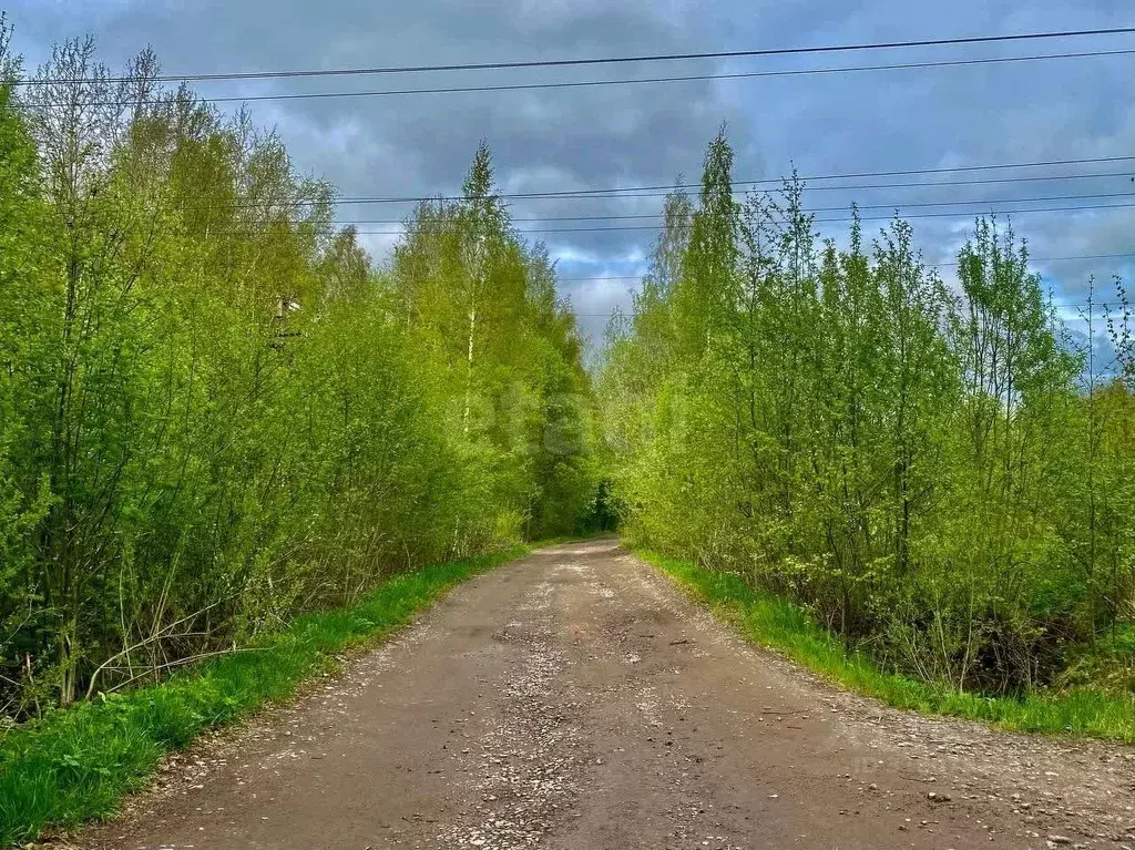 Участок в Ленинградская область, Приозерский район, Сосновское с/пос, ... - Фото 0