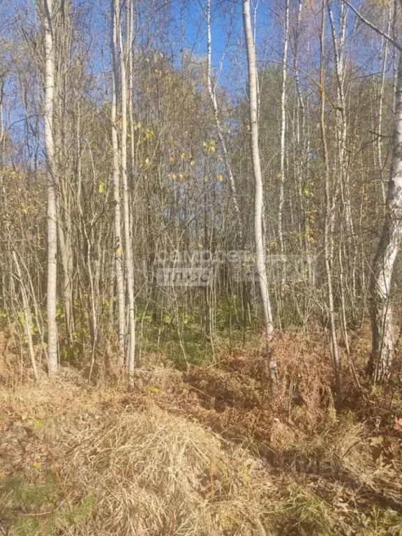 Участок в Калужская область, Калуга городской округ, пос. Мирный ул. ... - Фото 0