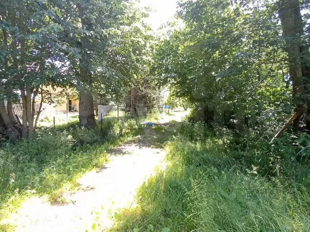 Дом 30 м на участке 32,5 сот. - Фото 1