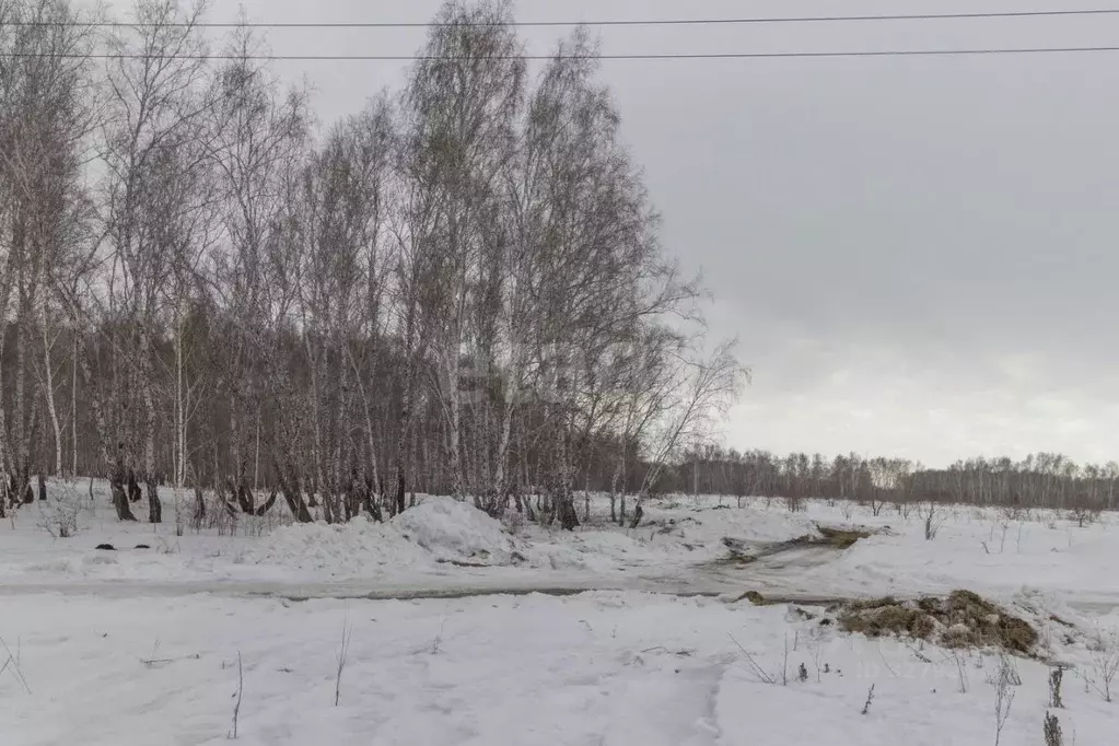 Участок в Омская область, Омск ул. Санина, 86 (8.58 сот.) - Фото 1