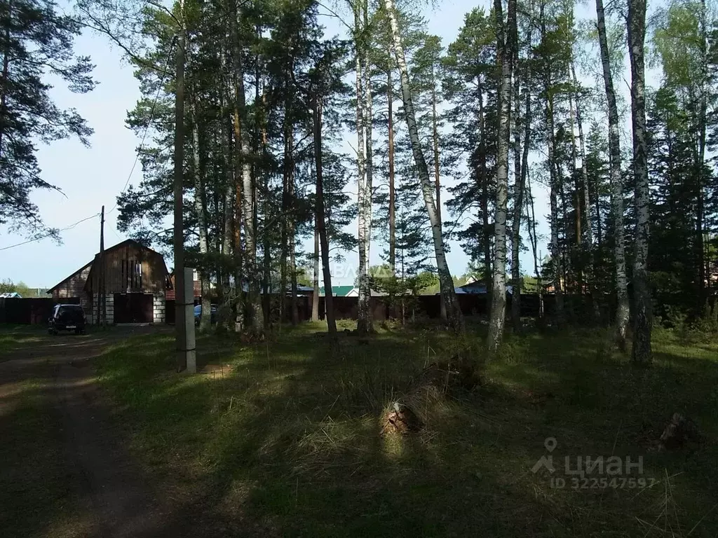 Участок в Владимирская область, Судогодский район, д. Торжково 5 ... - Фото 1