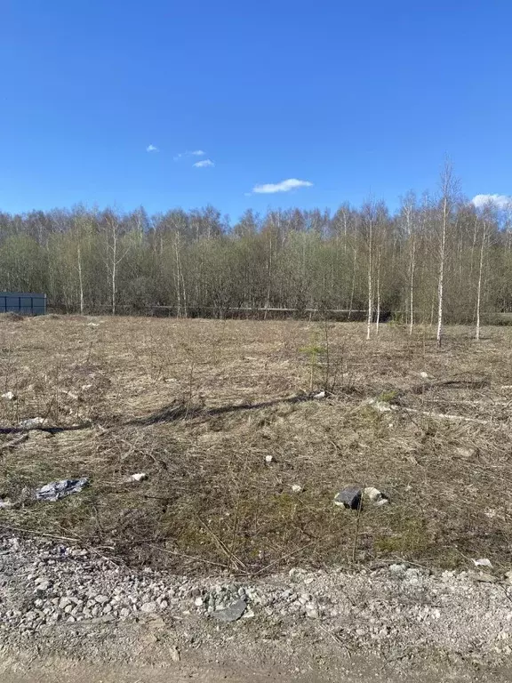 Участок в Нижегородская область, с. Безводное ул. Мирная (12.0 сот.) - Фото 1