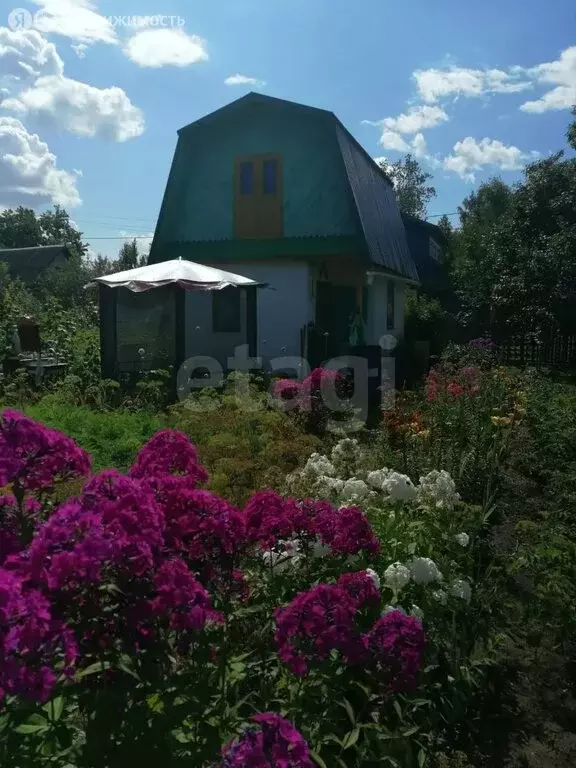 Участок в Нефтекамск, садовые участки Дружба (396 м) - Фото 2