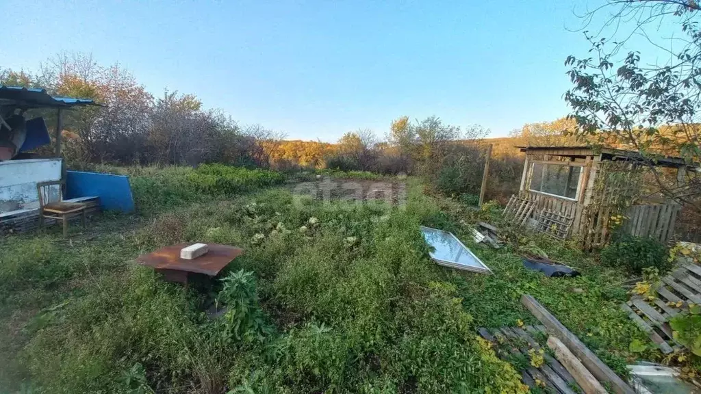 Участок в Амурская область, Благовещенский район, с. ... - Фото 1